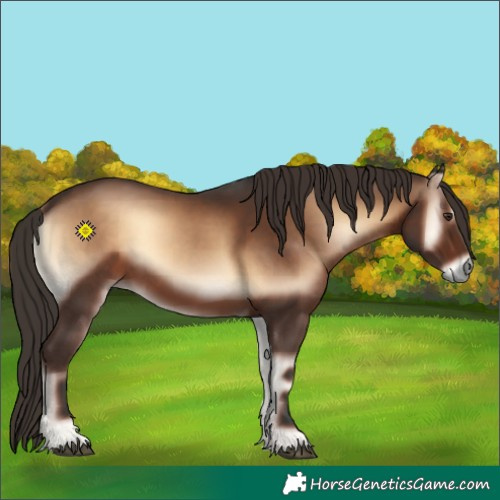Horse Color:Liver Red Onyx 