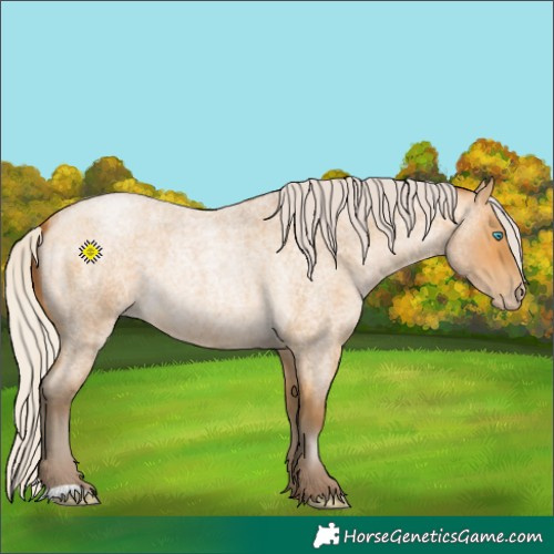 Horse Color:Gray Silver Buckskin Roan Pearl