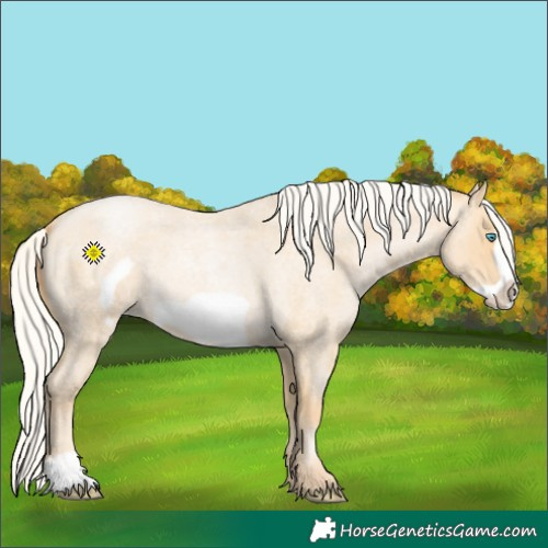 Horse Color:Silver Buckskin Roan Pearl Frame 