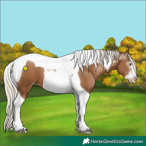Horse Color:Gray Silver Bay Pearl Tobiano Frame