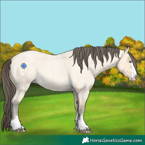 Horse Color:Amber Cream Champagne Roan