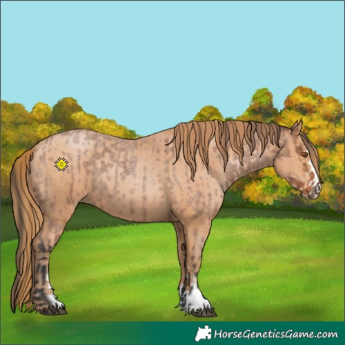 Horse Color:Bay Roan  and Bay Pearl 