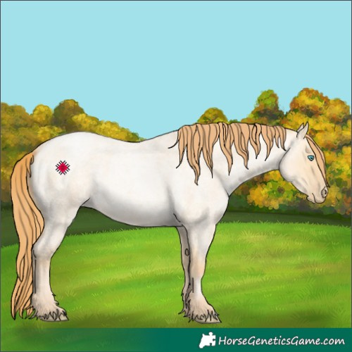 Horse Color:Buckskin Roan Pearl Dun 