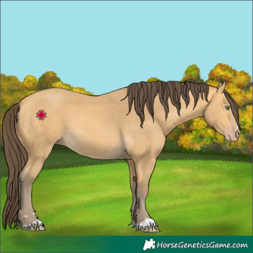 Horse Color:Amber Cream Champagne