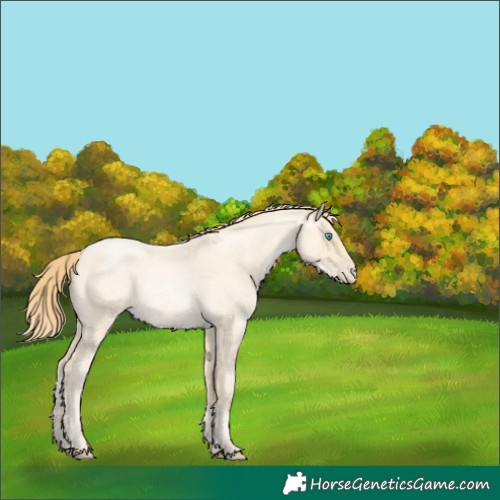 Horse Color:Buckskin Roan Pearl