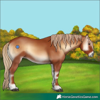 Horse Color:Red Onyx 