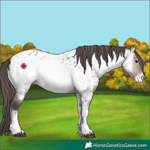 Horse Color:Platinum Bay Onyx Tobiano Appaloosa 