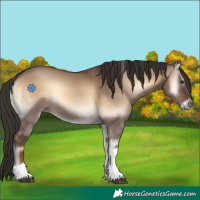 Horse Color:Liver Red Dun Onyx Tobiano