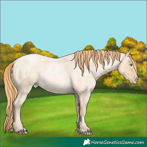 Horse Color:Smoky Blue Roan Pearl