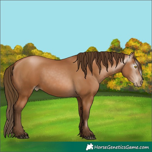 Horse Color:Gray Bay Pearl