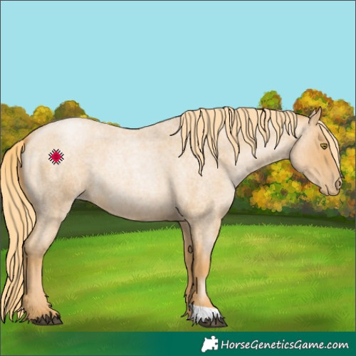 Horse Color:Red Roan Pearl