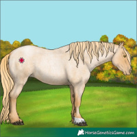 Horse Color:Red Roan Pearl 