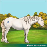 Horse Color:Smoky Blue Roan Pearl 