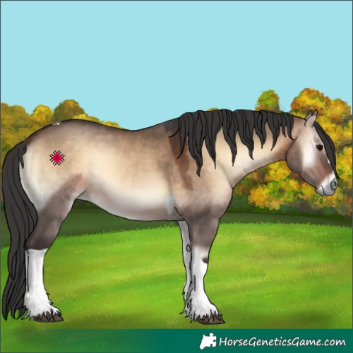 Horse Color:Bay Onyx Tobiano 