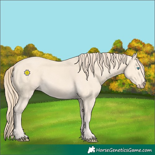 Horse Color:Perlino