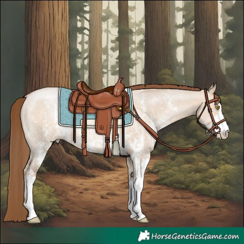 Horse Color:Brown Pearl Dun Sabino Rabicano 