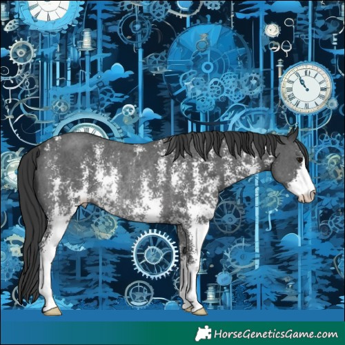 Horse Color:Black Sabino Rabicano