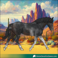 Horse Color:Brown Tobiano