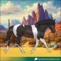Horse Color:Bay Tobiano 