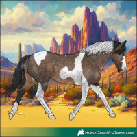 Horse Color:Brown Dun Tobiano 