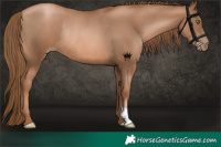 Horse Color:Liver Chestnut Pearl Rabicano