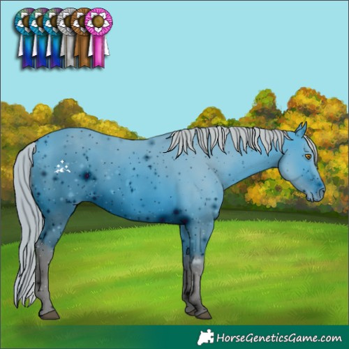 Horse Color:ERROR: UNKNOWN ANOMALY