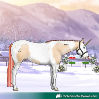 Horse Color:Painted Buckskin Pearl Splash Tobiano