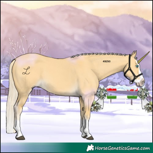 Horse Color:Palomino Dun Splash 