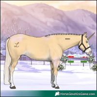 Horse Color:Palomino Dun Splash 