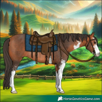 Horse Color:Bay Sabino Rabicano