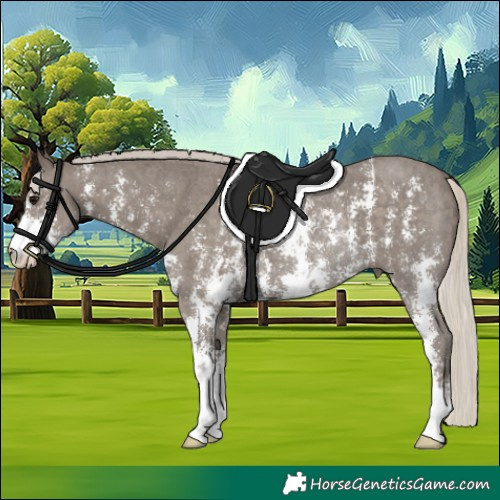 Horse Color:Silver Smoky Black Sabino Rabicano 