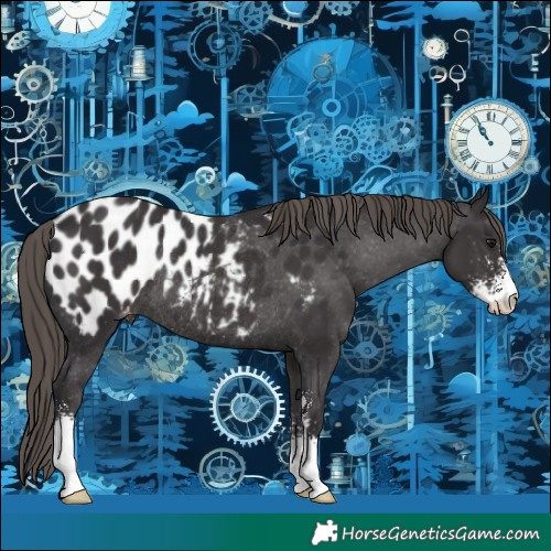 Horse Color:Smoky Black Sabino Appaloosa Rabicano 
