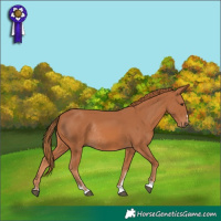 Horse Color:Chestnut Rabicano 