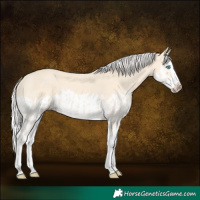 Horse Color:Cremello Splash and Cremello Splash