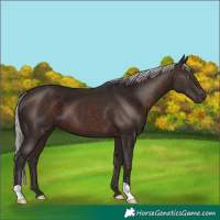 Horse Color:Silver Brown Mushroom 