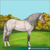 Horse Color:Silver Brown Roan Dun Mushroom 