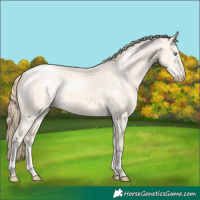 Horse Color:Perlino Dun 