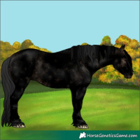 Horse Color:Void White Spotted Brown Roan Dun 