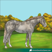 Horse Color:Sable Cream Champagne Ice Pearl 