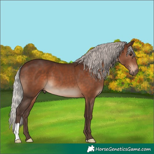 Horse Color:Silver Brown 