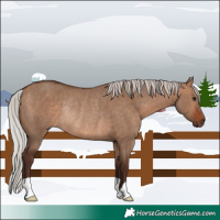 Horse Color:Silver Bay Dun Rabicano 