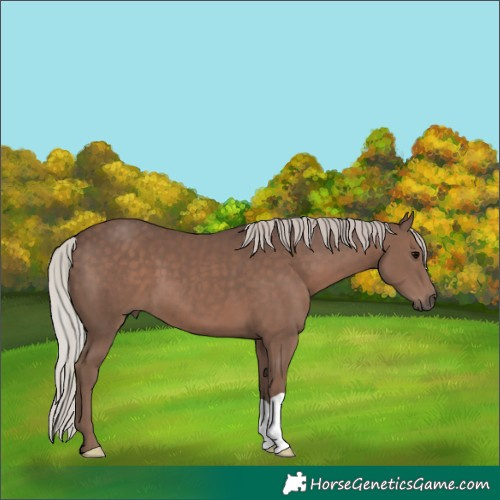 Horse Color:Silver Black