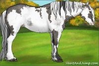 Horse Color:White Spotted Grullo Splash Frame