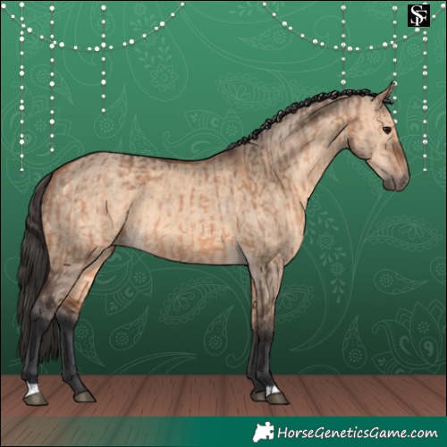Horse Color:Bay Dun and Bay Dun