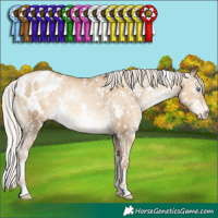 Horse Color:Gray White Spotted Silver Sable Cream Champagne Pearl Appaloosa Rabicano 