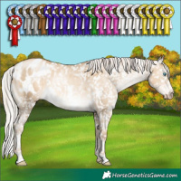 Horse Color:Gray White Spotted Silver Sable Cream Champagne Pearl Appaloosa Rabicano 
