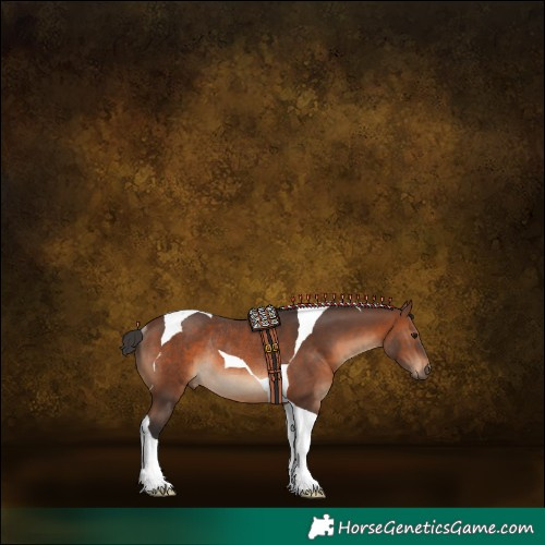 Horse Color:Brown Tobiano Rabicano 
