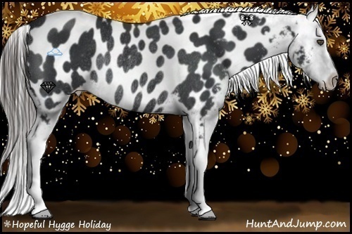 Horse Color:Black Frame Appaloosa Rabicano 