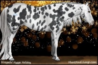 Horse Color:Black Frame Blanket Rabicano 