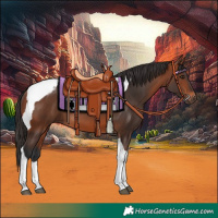 Horse Color:Bay Tobiano 